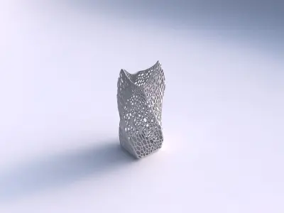 Vase twisted double arc quadratic with dense organic lattice 2 3D print model