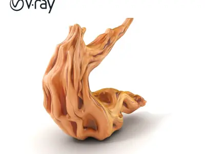 Sculpted Driftwood Fluid Form model pack Low-poly 3D model
