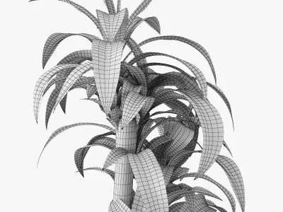 Dracaena Massangeana Potted Plant 3D model