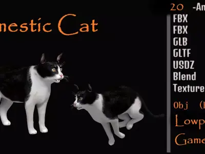 Domestic House Cat Low-poly 3D model