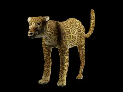 leopard Low-poly 3D model