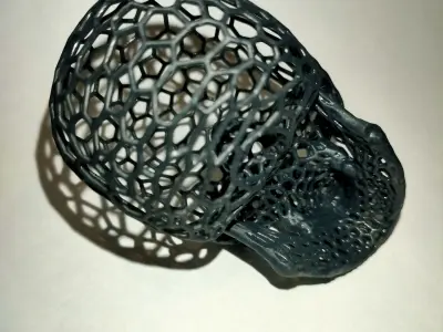Voronoi Skull  3D print model