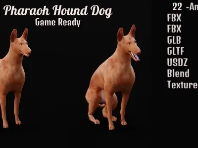 Pharaoh Hound Dog 3D model