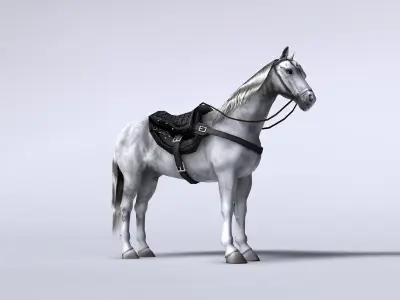 White horse with saddle and bags Low-poly 3D model