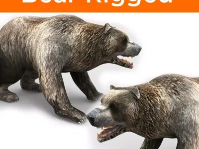 Bear Rigged 3D Models game ready  Low-poly 3D model