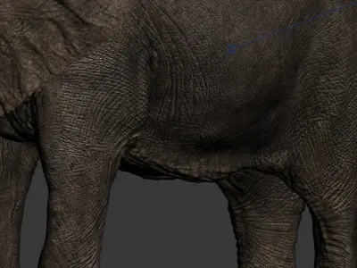 Elephant Rig -Maya- Max Low-poly 3D model