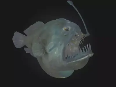 Luminous Predator Bioluminescent Creature Model 3D model