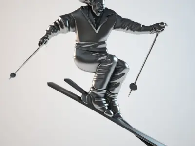 bas skier 3D print model