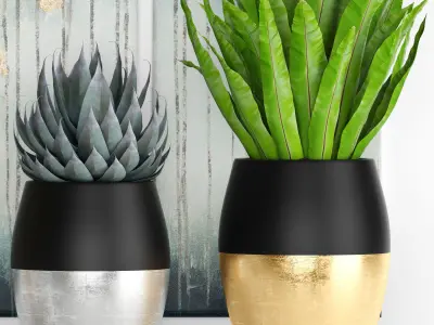 collection luxury plants 3D model