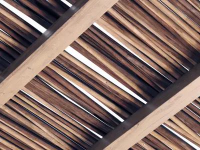 Ceiling wood sang thin branch n1 3D model