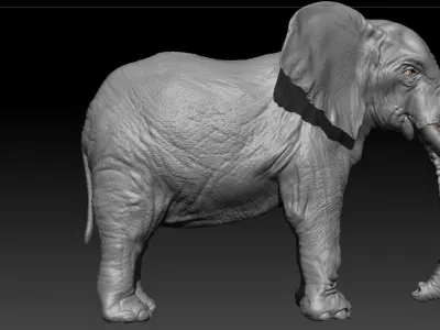 Realistic Elephant Hi-Rez with realistic skin 3D model 3D model