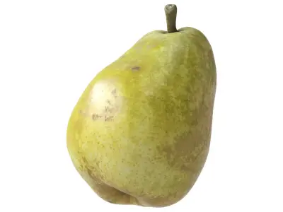 Kieffer Pear 3D model