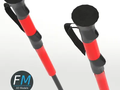 Alpine skis with poles 3D model