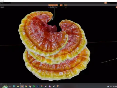 reishi mushroom for 3d print webgl and game AR VR Low-poly 3D model