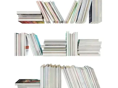 110 different books 2 3D model