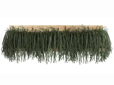 Collection of Exotic Plants 406 3D model