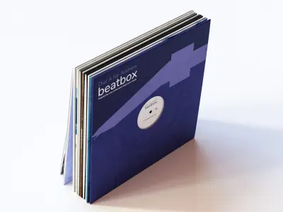 A few vinyls 3D model