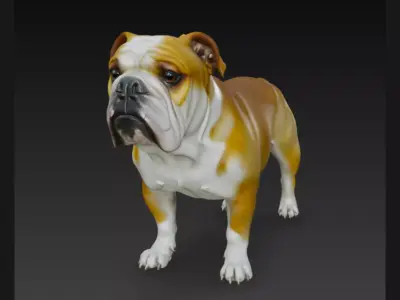 Detailed 3D Bulldog Dog Model 3D model