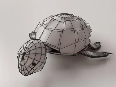 Cartoon Turtle 3D model