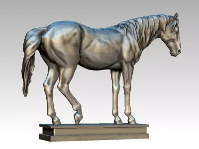 horse studio 3D model