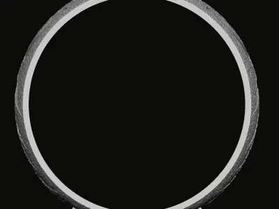 Phoenix bangle 3D print model