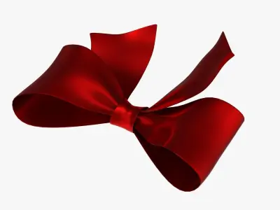 Wrapping bow 03 3D model