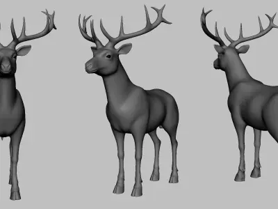 Deer Basemesh Low-poly 3D model