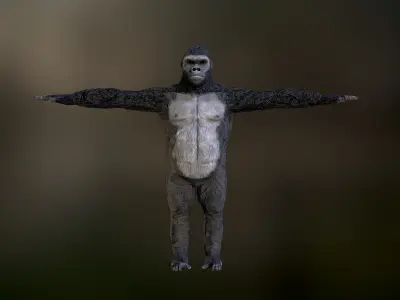Gorilla game ready model with pbr textures Low-poly 3D model