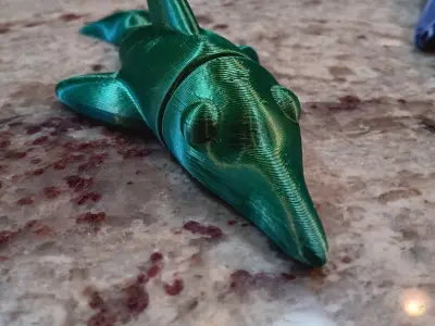 Flexi Dolphin Magnet - FREE Free 3D print model