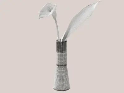 Calla lily flower 3D model