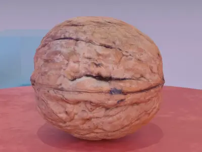 Walnut fruit 07 high-poly 3D model