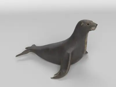 Sea Lion 3D model