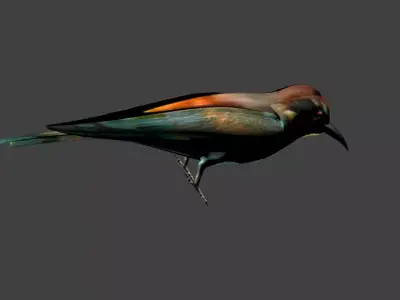 low poly bird Low-poly 3D model