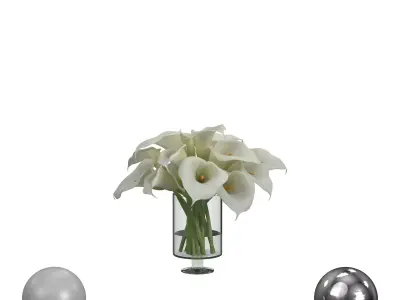 Calla Lily Flower Vase 3D model