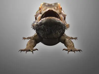 Bearded Dragon Lizard Pet 3D model