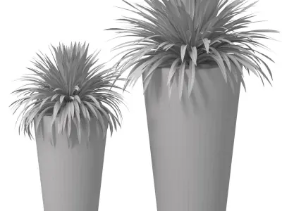 Decorative Yucca plant in modern pot Entrance Front Patio Porch  3D model