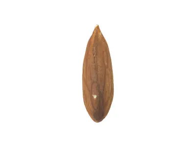 Photorealistic Almond 3D Scan 3D model
