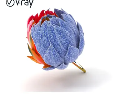Vivid Protea Flower Model Pack Low-poly 3D model