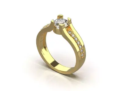 ring code 204 3D print model