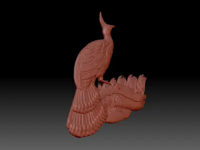 Peacock 3D print model