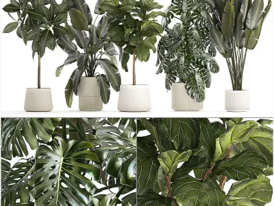 Set of beautiful plants and trees in pots for decoration 1322 3D model