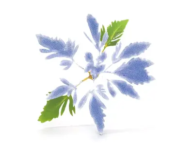 Green Herbaceous Plant model pack Low-poly 3D model