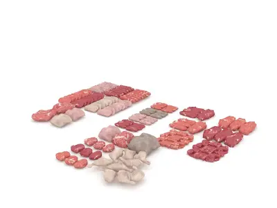 3D meat and sausage varieties model Low-poly 3D model