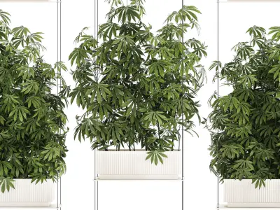 Garden plantation Bushes Hemp Marijuana Cannabis 1428 3D model