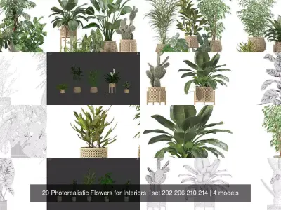 20 Photorealistic Flowers for Interiors - set 202 206 210 214 3D Model Collection
