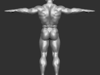 Male Template Muscle Buff Superhero Body 3D model