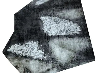 Fragonia Tai Ping Carpet Low-poly 3D model