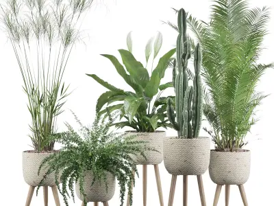 Plants collection 052 3D model