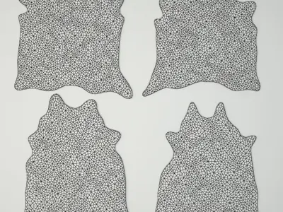 Rugs 5 zebra cowhide rug 3D model