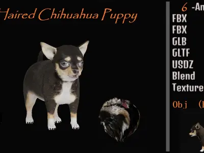 Short Haired Chihuahua Puppy Dog Low-poly 3D model